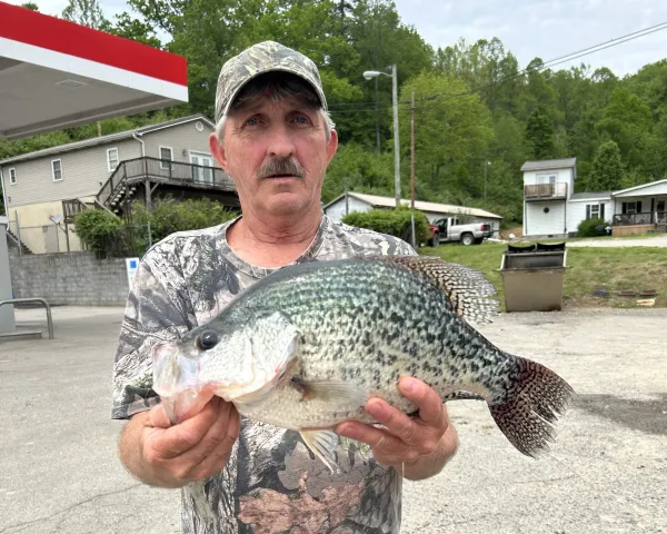 Angler Breaks State Fish Record with Massive Black Crappie Capture